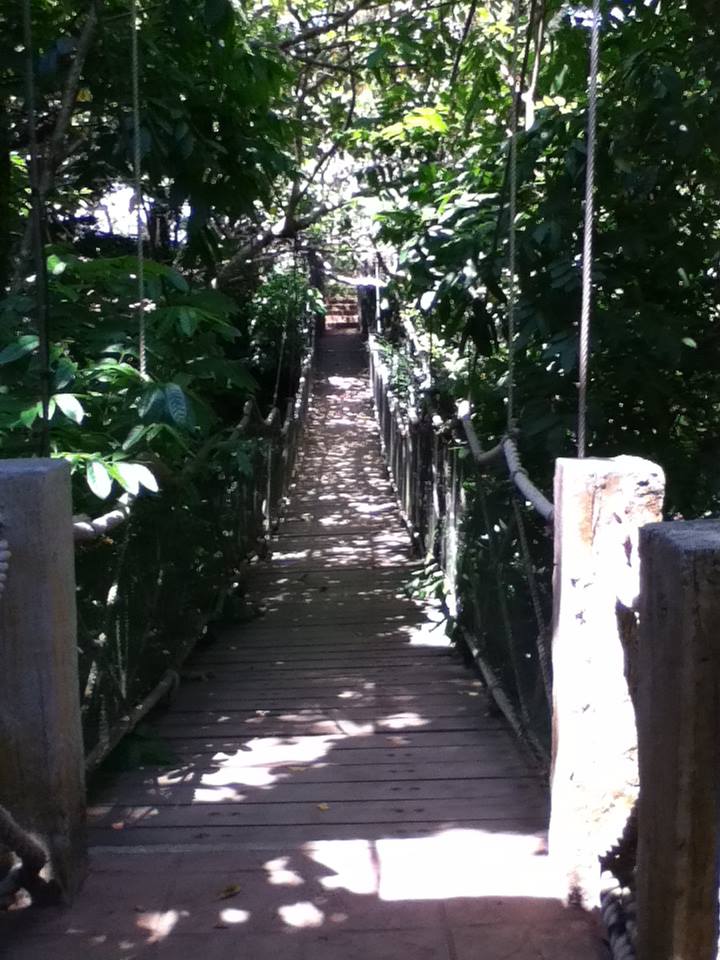 The Hanging Bridge