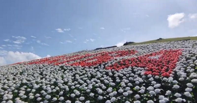 Lintaon Peak A View Of Baybay Citys Captivating 16000 Blossoms Travel With Juantravel With Juan 7857